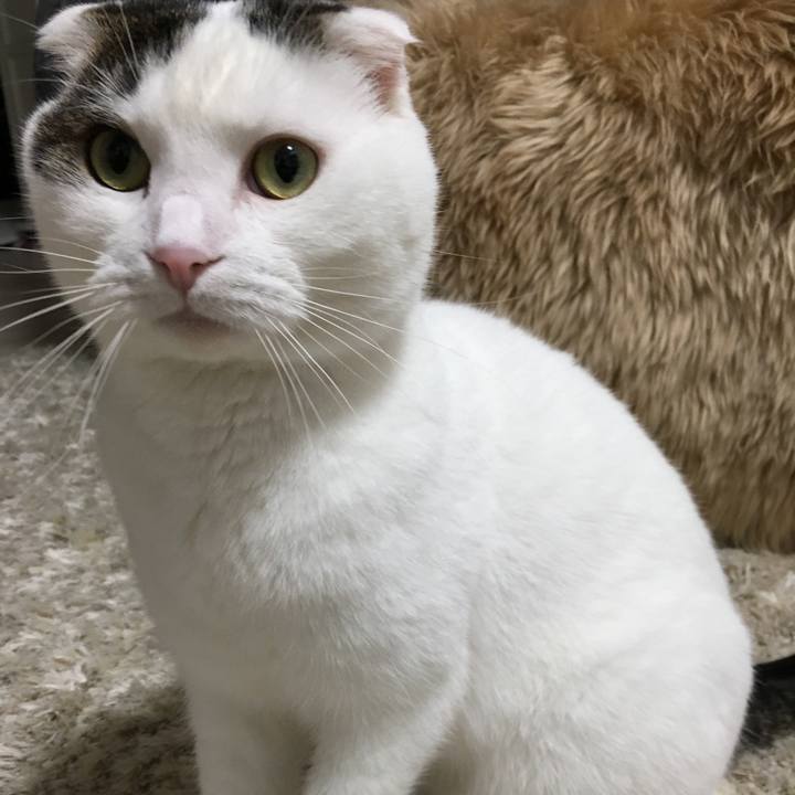 6bfb868c b7ff 4930 96d5 9ff2d4d942b3