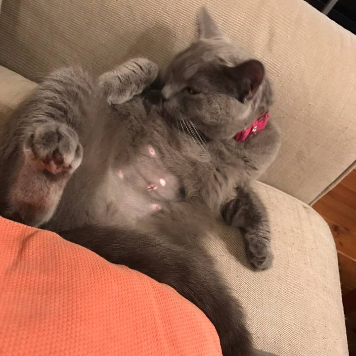 6bfb956d d713 4b2f 9f95 fa8db2e86a20