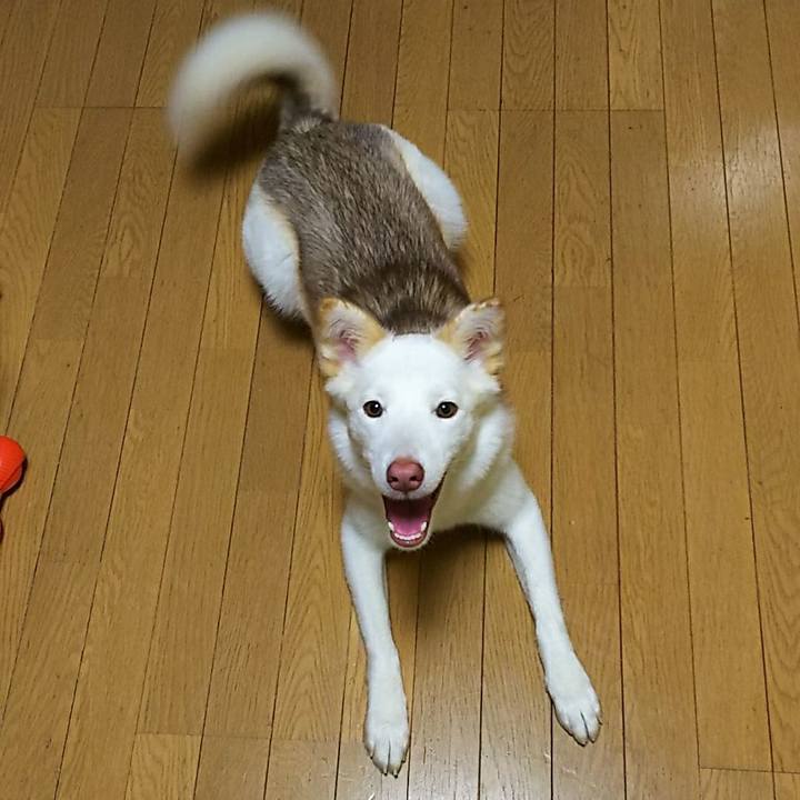 6bfbf68c fe86 47f1 9303 96c6c41a5902