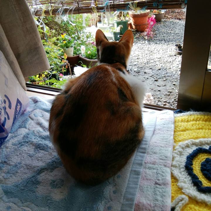 6bfcc158 6cbd 496d 9f2b fa16d8c1d0be