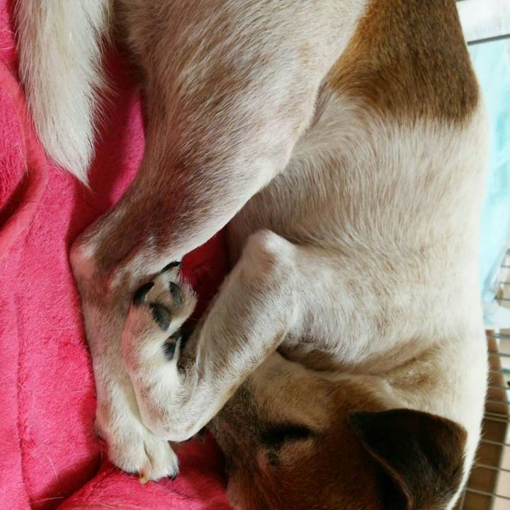 6bfce151 2ab5 4c5d 96d1 04e52172c5a1