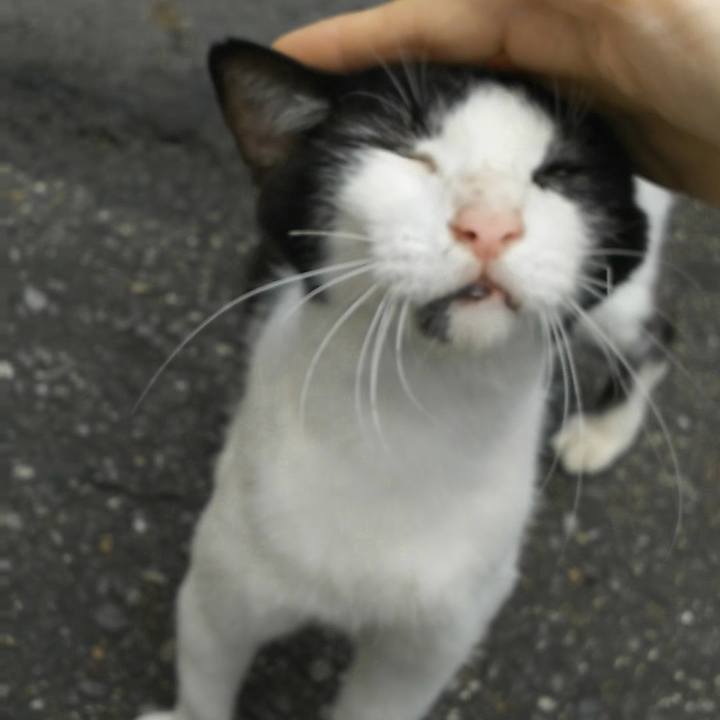 6bfd0274 a03c 4a22 a5bb bcc9b6db6896