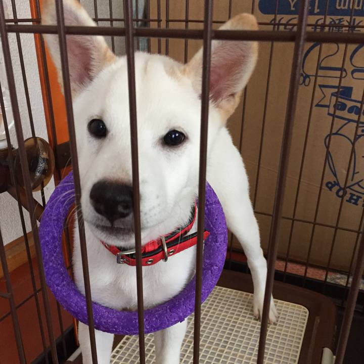 6bfd1cc7 de98 4fcc bb78 ef5cd3e343c1