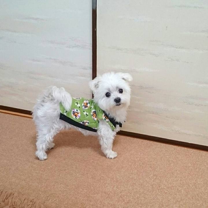 6bfd21de f59b 491a 9dcf c85fce8f527c