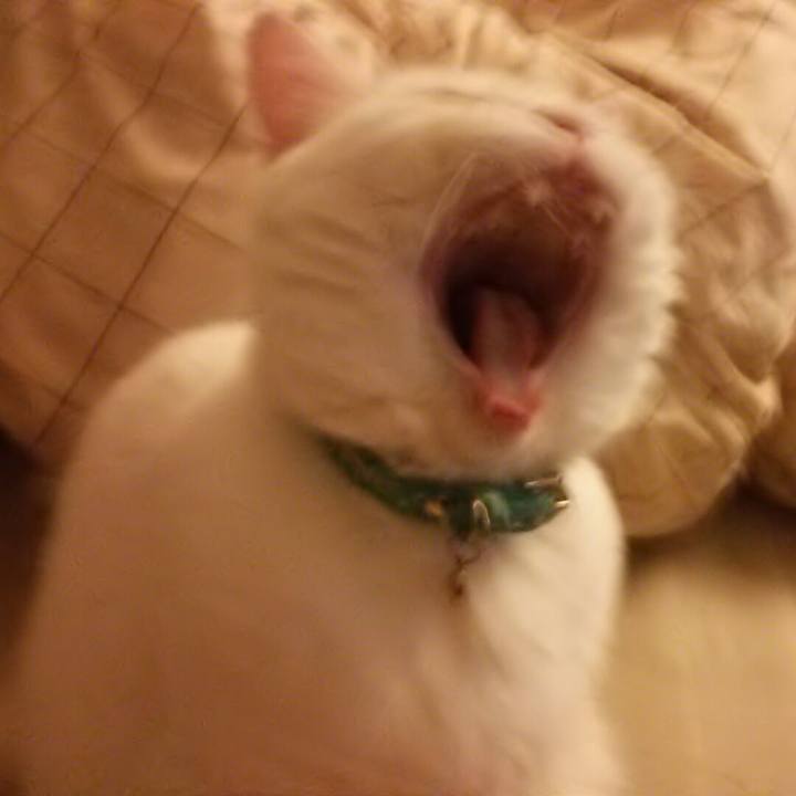 6bfd657b de15 46d7 bb53 22c49e0b545b