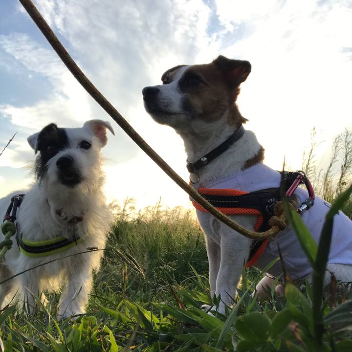 6bfde3bc 4ce7 4dd8 9a9a 6c06cf79170e