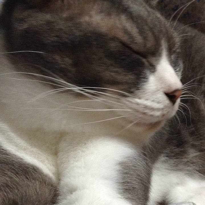 6bfe0a9d a85d 4a78 8e8c 5c09ae63b038