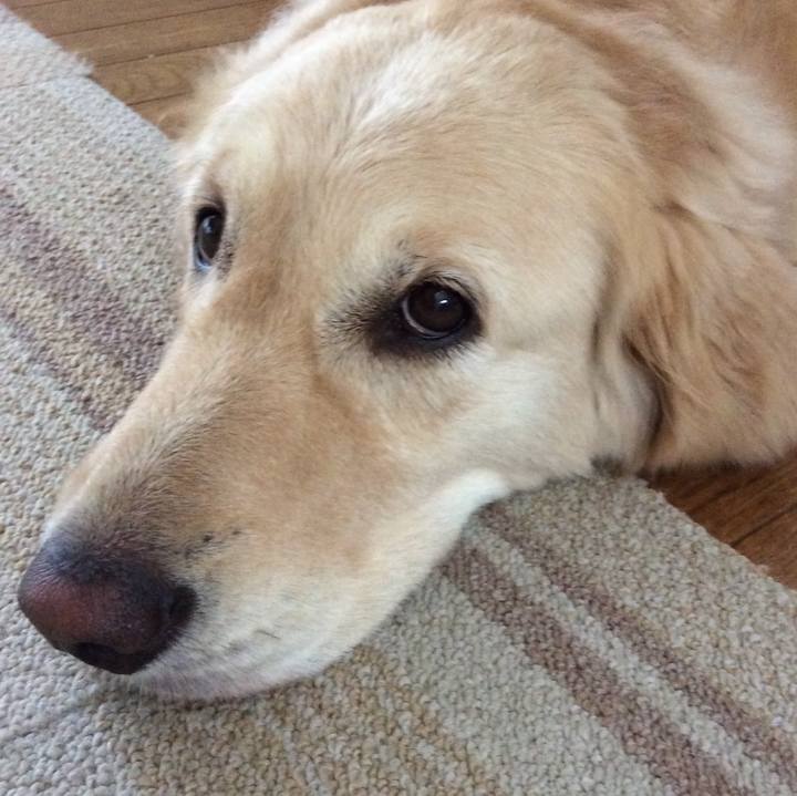 6bfe3b0e 5b23 4794 a657 f91569cd1244