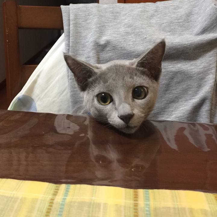 6c0004c4 b164 4ac0 a63e 9b70b315a322