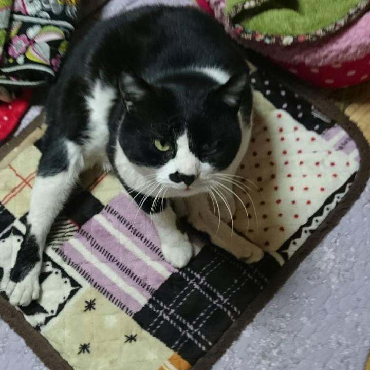 6c00b101 71b9 40c0 967a 59cc9342aeaf