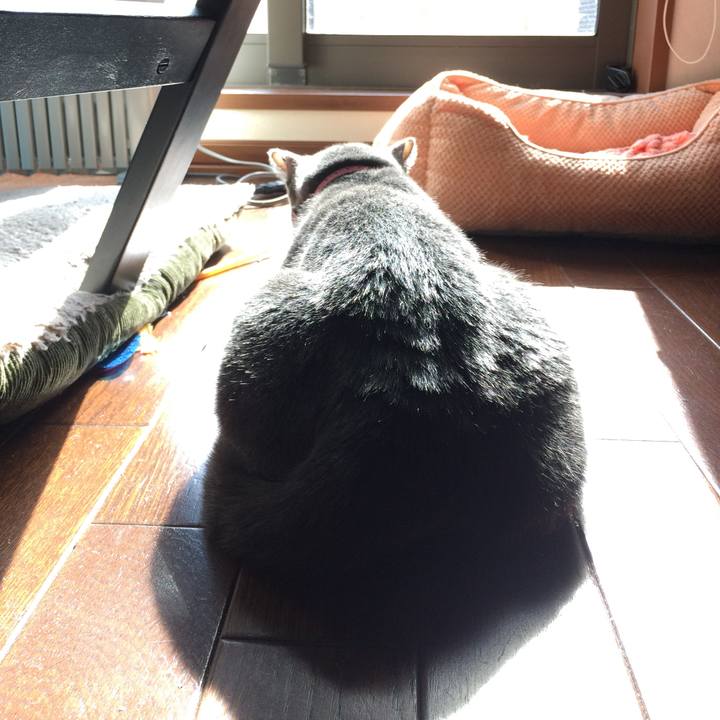 6c013ed3 b521 4d88 9ed8 61549394cbb7