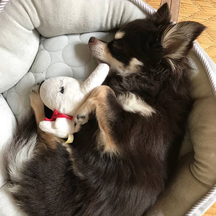 6c0270bb bd4c 4841 899e 01e5710b0b8d