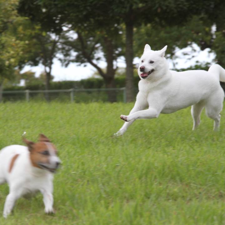 6c02cb19 24af 401a 8344 e4ea7aa72531