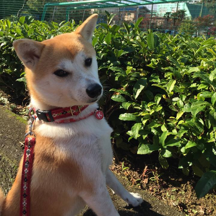 6c0322da cc3b 4849 93b6 6a705da211e7