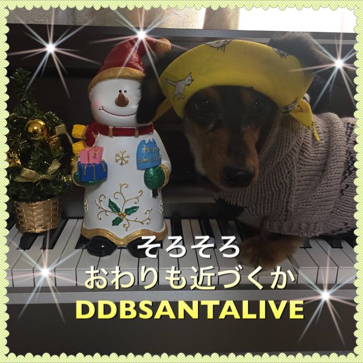 6c032b6f 2425 4626 9377 265f1090f0a7