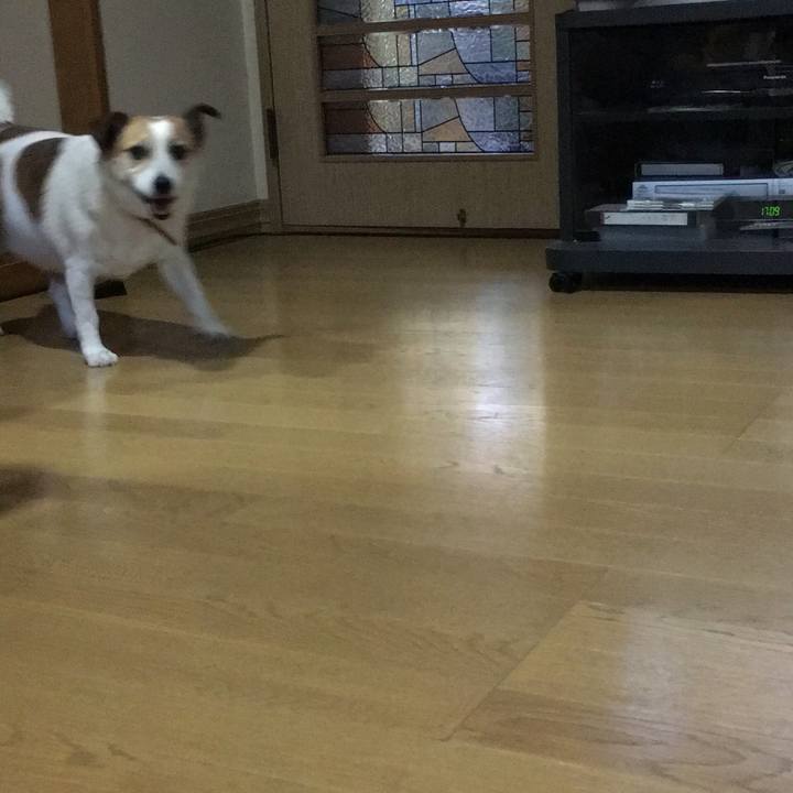 6c033fda 8f67 401e 8bc2 d0dea2e5bd13