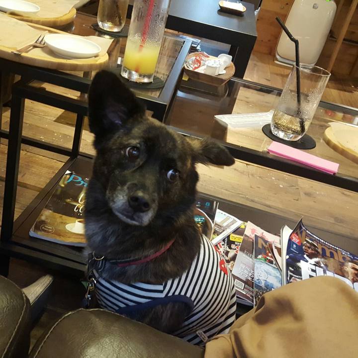 6c041090 4068 487b 8671 e7a7625010c9