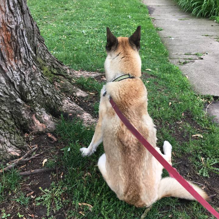 6c04602c 9878 47d4 be8e 5e8bbbaeff97