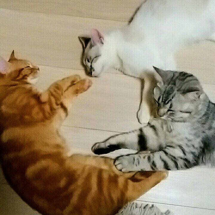 6c04c2fe e917 4b65 8fb1 52ee04175e36