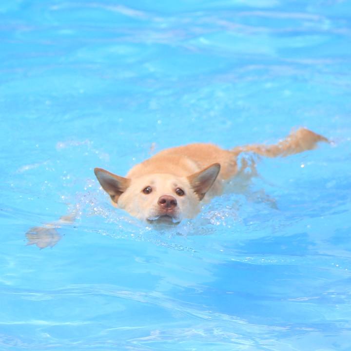 6c056a18 2b9c 4009 8f86 3888d007f533