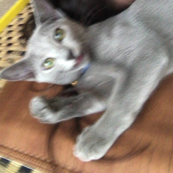 6c065eb9 4cee 4d04 b0b2 4db58ade6ca4