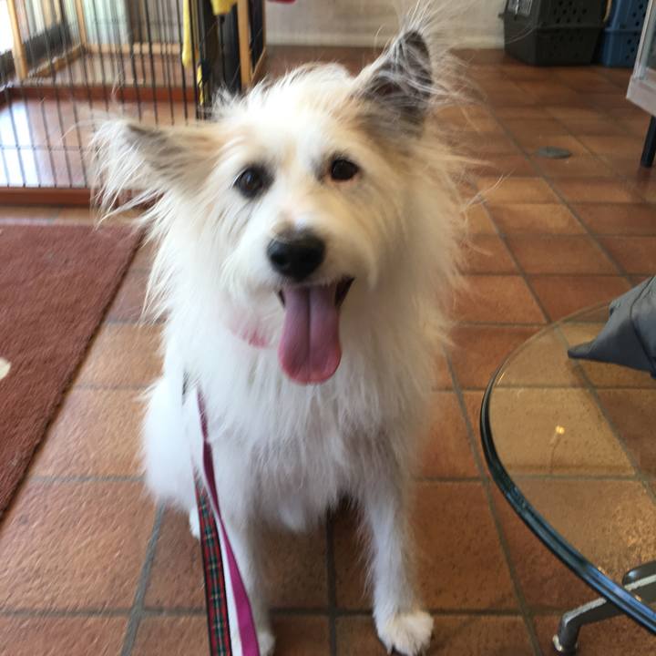 6c068d08 d431 42cb ab66 d6fa20ec1223