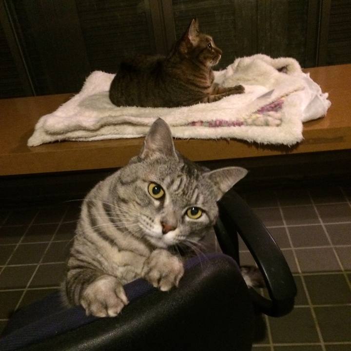 6c07d344 1072 411f 956c 63071ed87afc