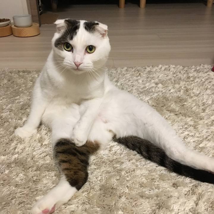 6c080580 606e 45b1 b05d 58c1e3891995