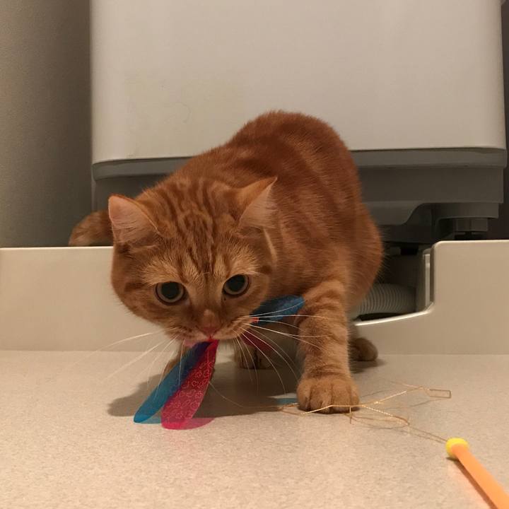 6c0893fa a014 4c1f 9321 858164b612cc