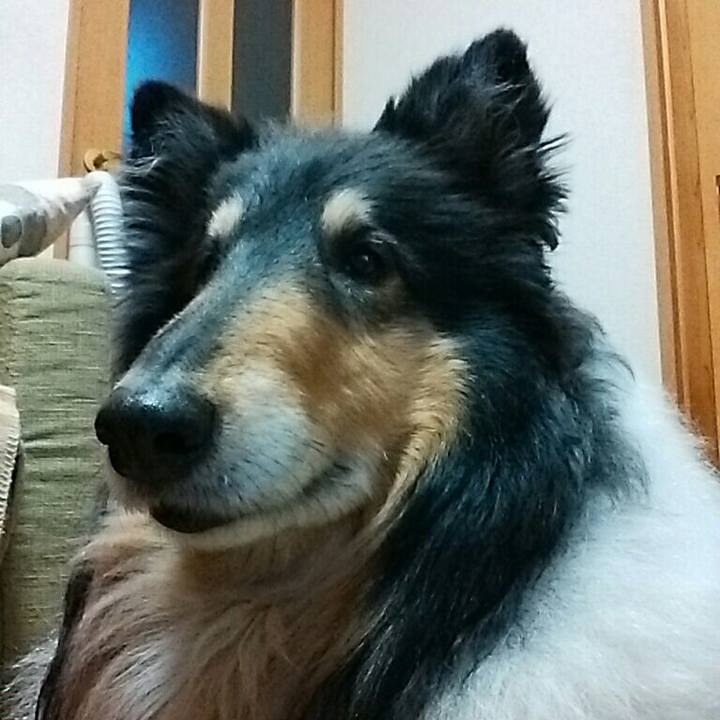 6c08d37c 8477 40d2 861b c4bc90afd9e0