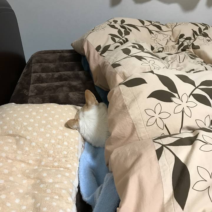 6c091f0a a03d 4625 a149 2aca8ae00976