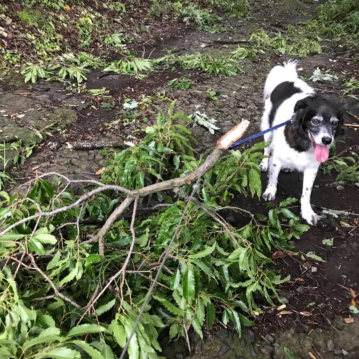 6c093d53 2063 460c af05 c9ec9ab2ce04