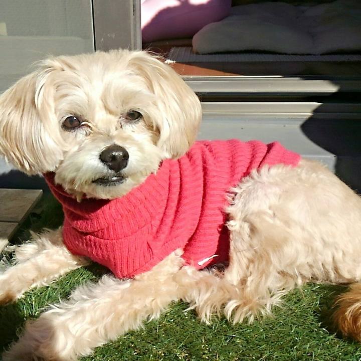 6c0956a4 bf65 4f8c 91a8 b1eb607ab775