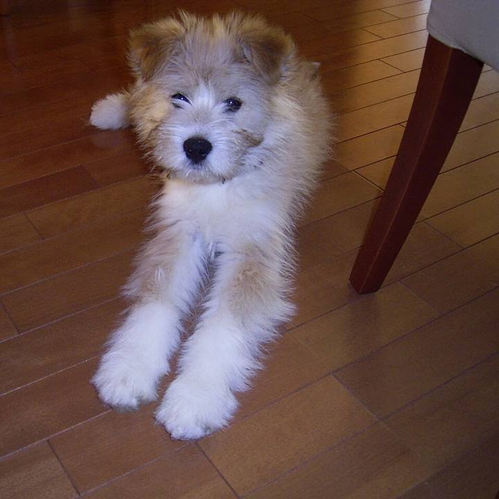 6c0996a9 9189 4169 b1be d16f74ce6b53