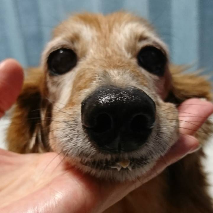 6c099c78 30f7 43f6 a6c0 7785eb71dd82