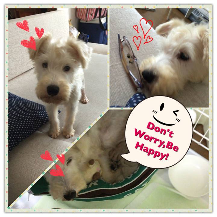 6c09acc1 0167 4639 80cd ae8bec4d2e82