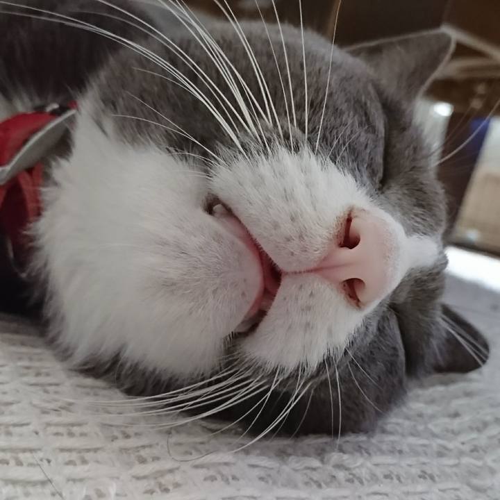 6c0a05ad 01b7 4471 a64e d89b7ee18c63