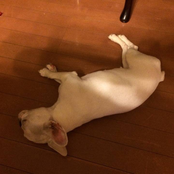 6c0af6cb 88b4 4e9e a43a f20fa3ef6021