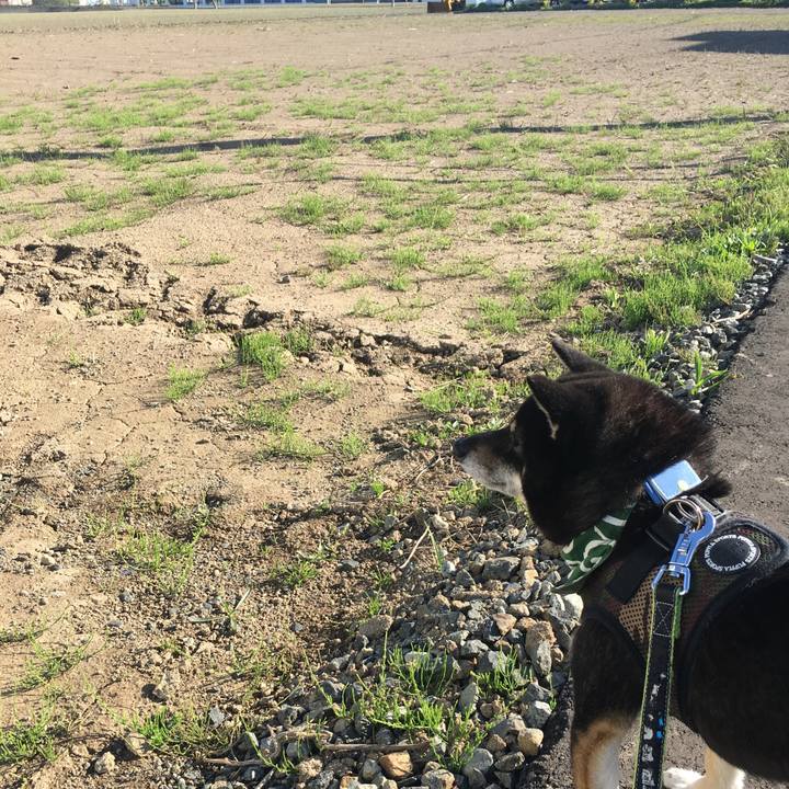 6c0b6657 9368 468d b18b daba44a4694b