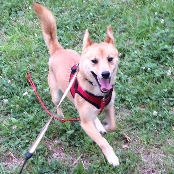 6c0b7718 0971 4e1f 96c8 344a98bfeb43