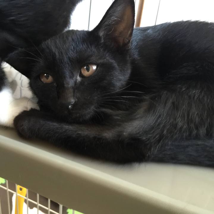 6c0ba59f 4ff0 4e39 b3f9 e72784b52262