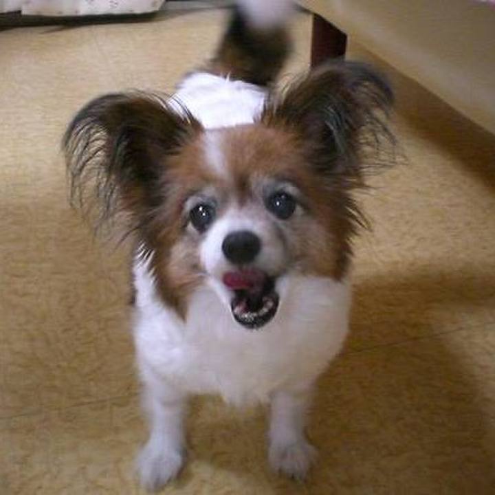 6c0c5373 3cc0 4ecb 9e88 f5e492e27bc9