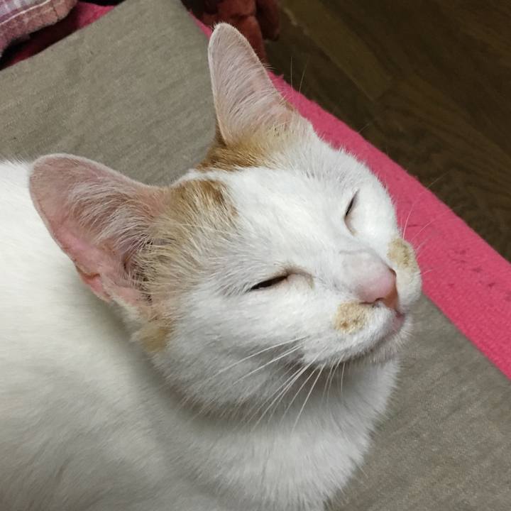 6c0c5a87 2926 4e0f b899 781d57e70dbe