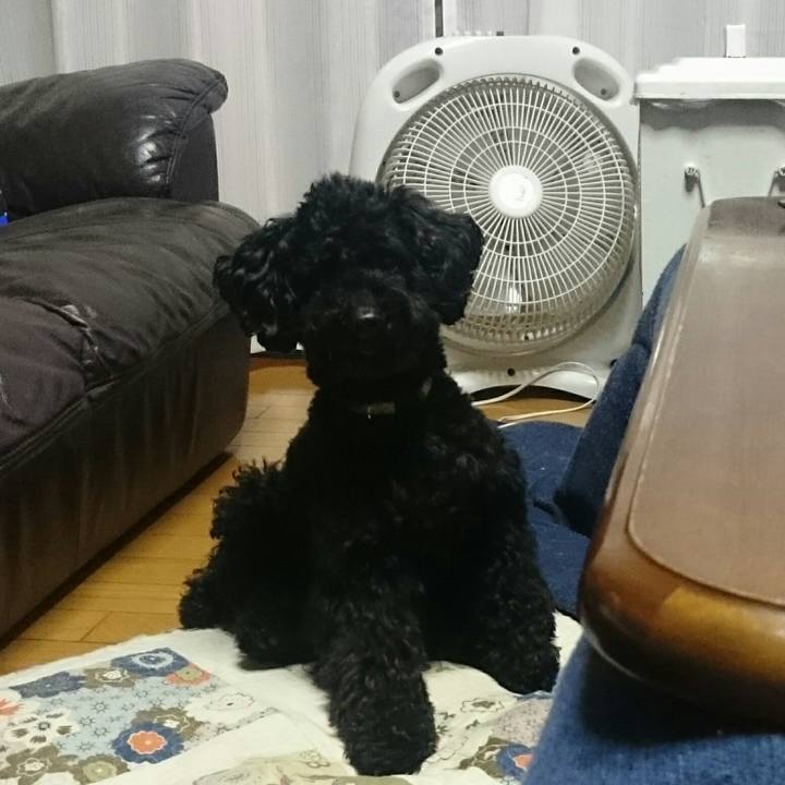 6c0ca317 46b4 4132 9054 609bcdd72467