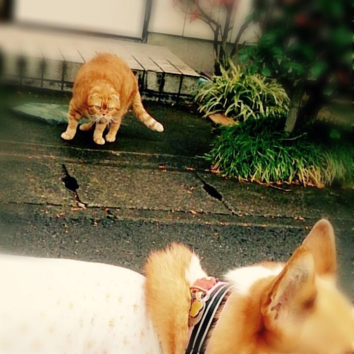 6c0cffaa 7e84 4e56 903a 459cb043e494