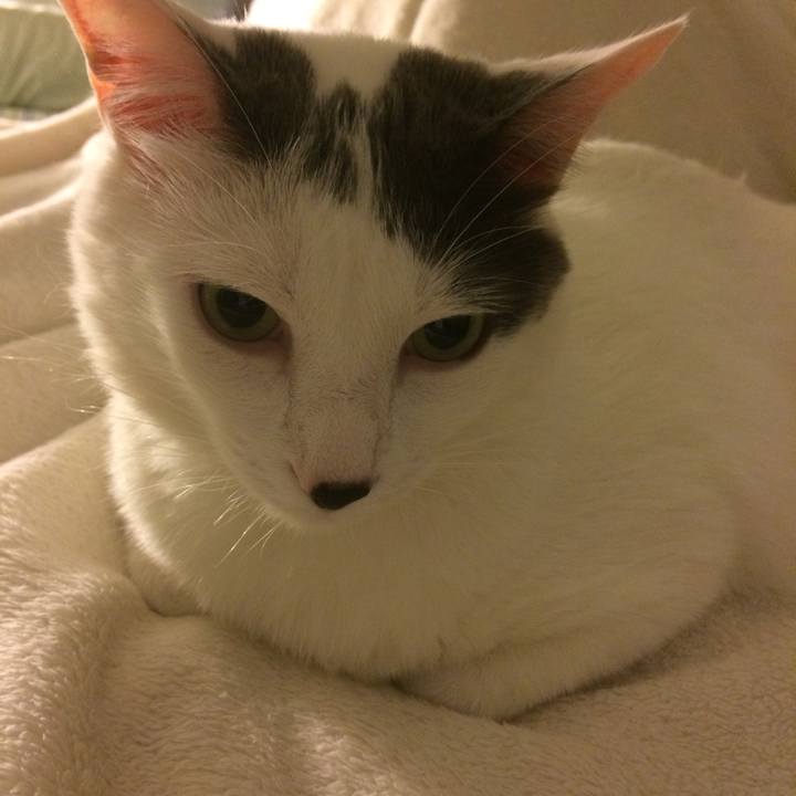 6c0da56e 922f 42ac 87b6 af94a5d56cfa