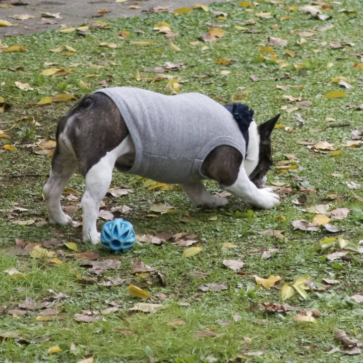 6c0dd2cf b097 45a5 9c43 deab0bd35e4a