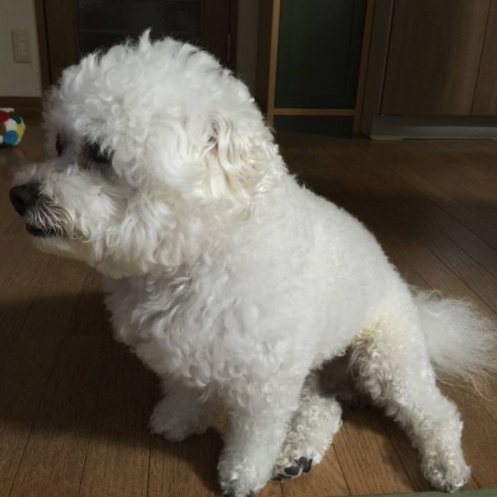 6c0e06cb 19f9 41a7 ae38 9ca30875feed