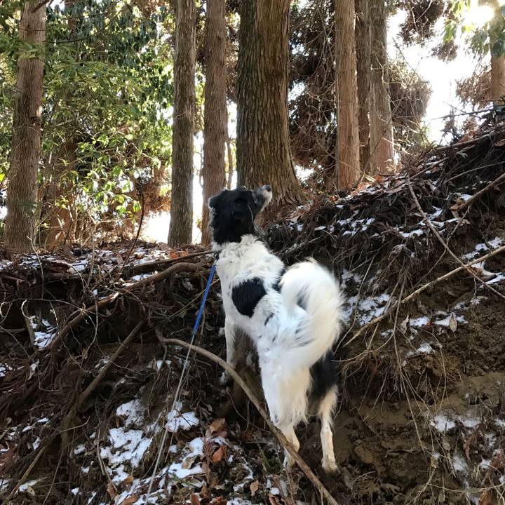 6c0e2ce7 da19 4e82 9bac 9ee64d480ffc