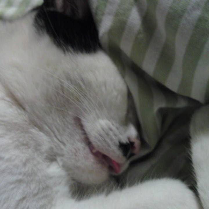 6c0e9000 eda6 4c41 9e7d f94c17b70450